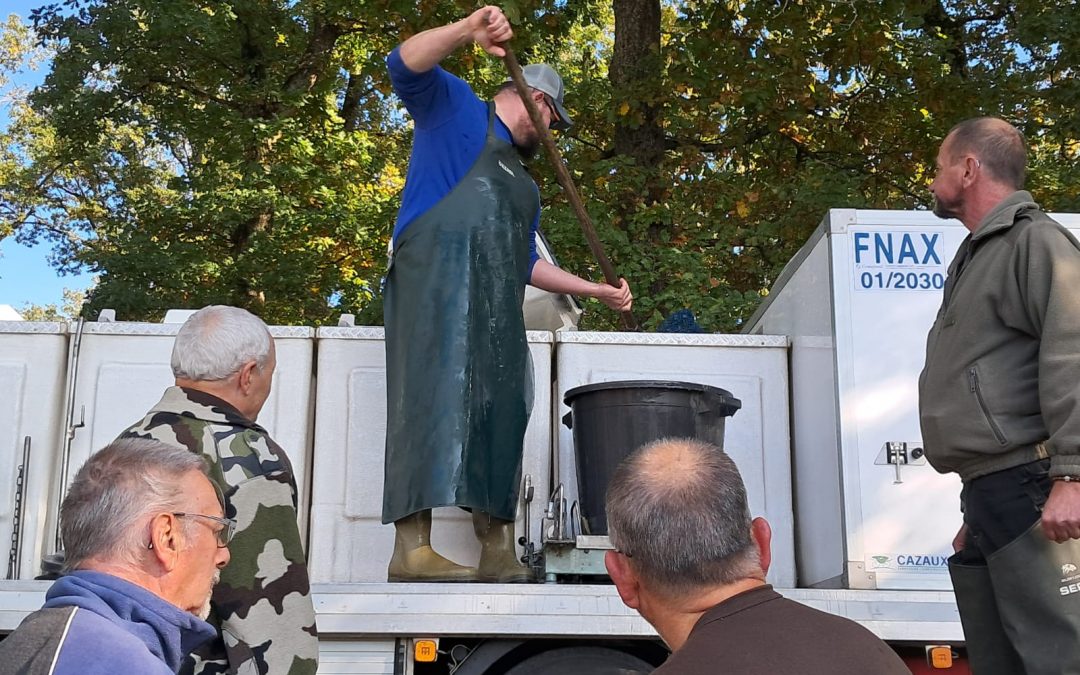 🎣 ALEVINAGE AU NONNENBRUCH 🎣