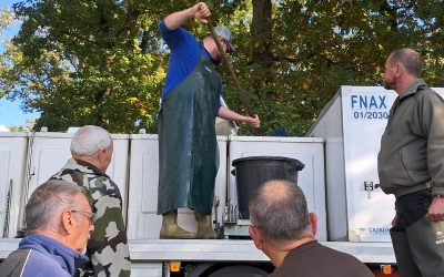 🎣 ALEVINAGE AU NONNENBRUCH 🎣