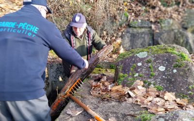 Entretien de la rivière